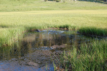 gas bubbles at Cold Boiling Lake