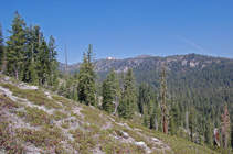 along the switchbacks