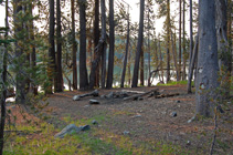 campsite at Long Lake