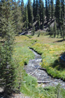 Kings Creek in Lower Meadow