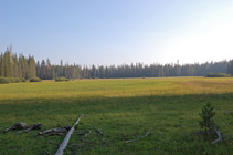 Hay Meadow