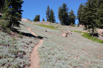 nearing the lakes